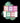 Pack 5 livres - Sourates du Coran -
